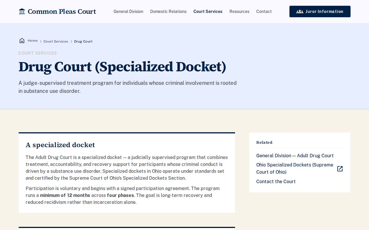 Meigs County criminal docket Adult Drug Court program information